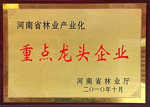 河南省林业厅颁发：2010年河南省林业产业化重点龙头企业